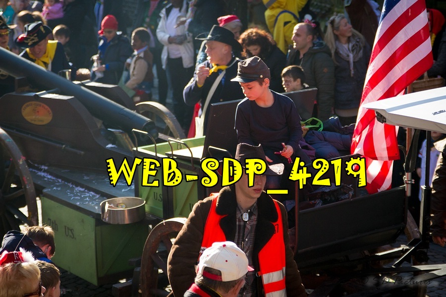 WEB SDP 4219