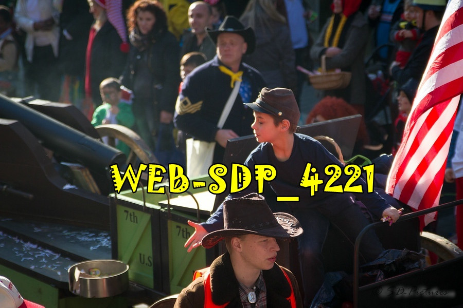 WEB SDP 4221