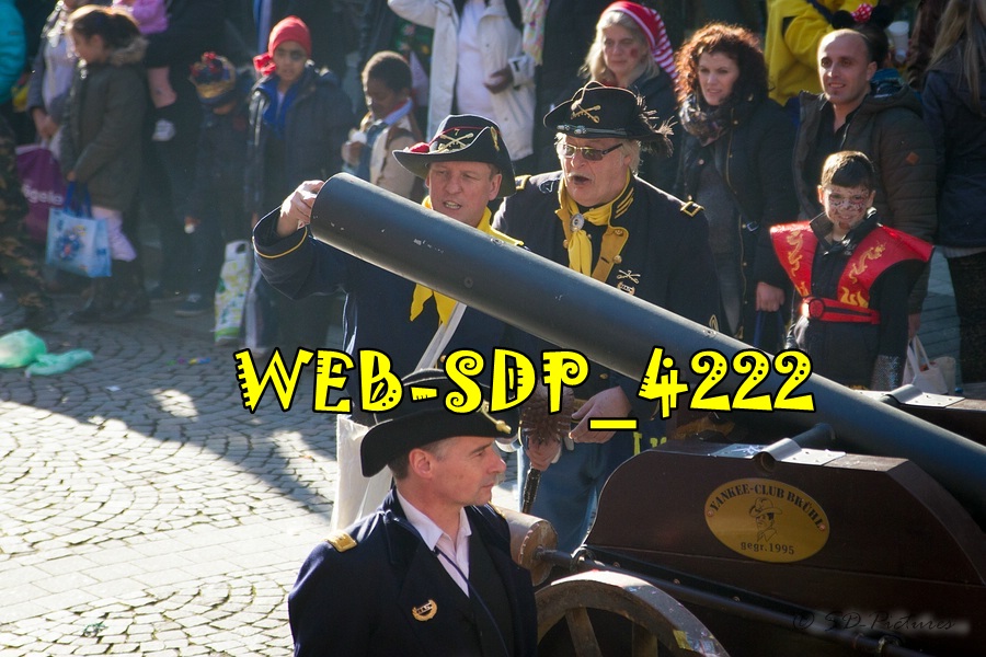 WEB SDP 4222