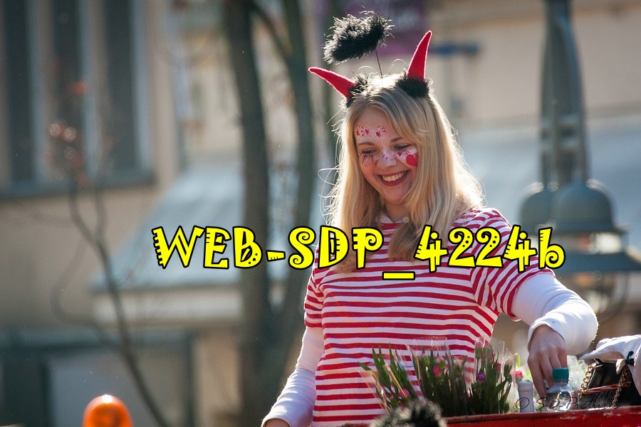 WEB SDP 4224b