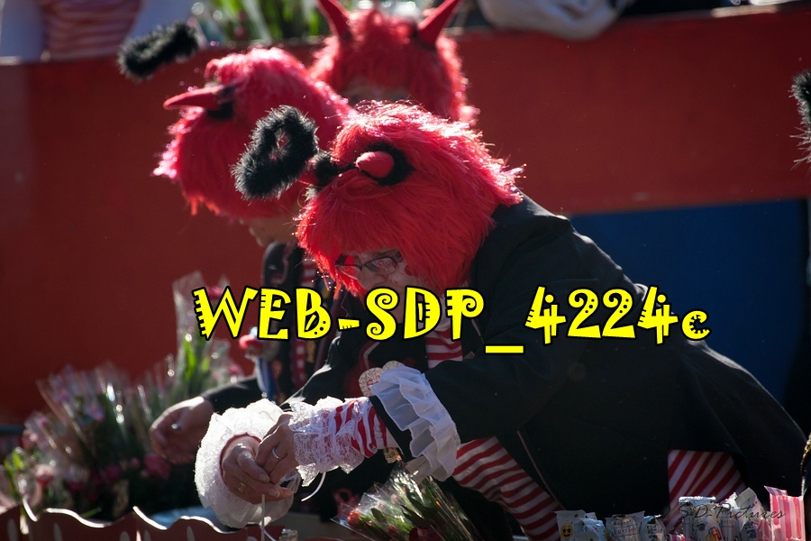 WEB SDP 4224c