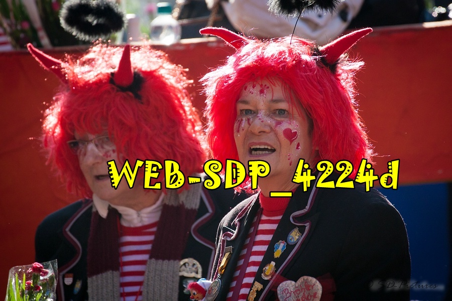 WEB SDP 4224d