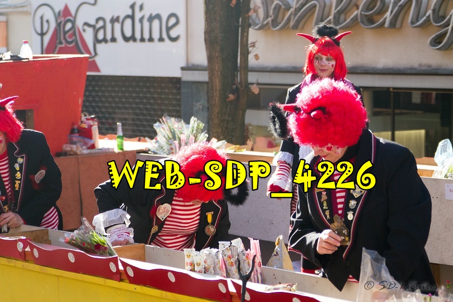 WEB SDP 4226