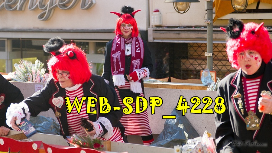 WEB SDP 4228