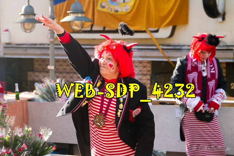 WEB SDP 4232