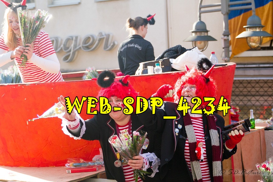 WEB SDP 4234