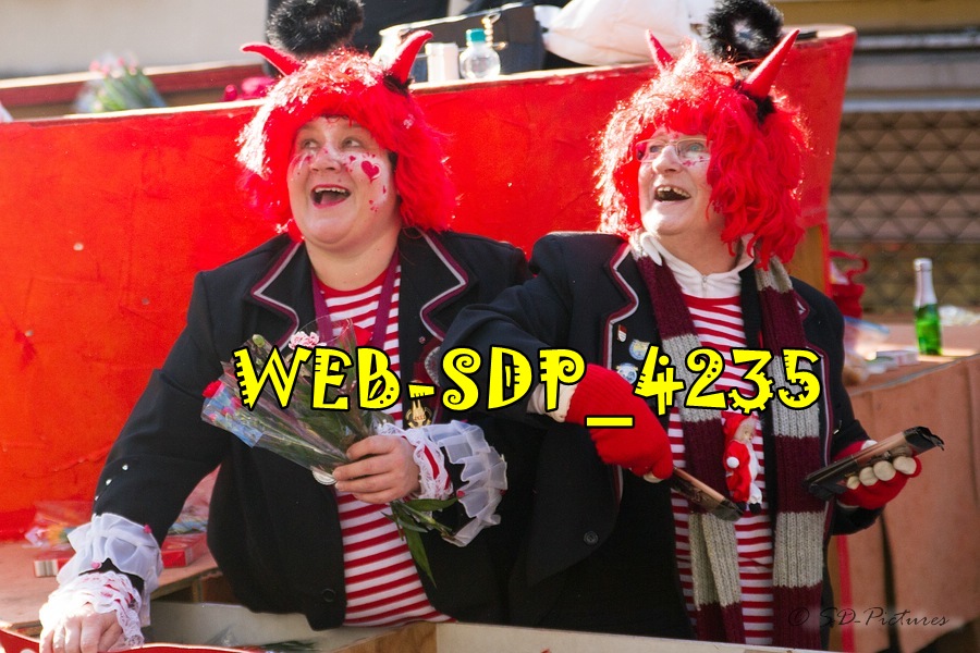 WEB SDP 4235