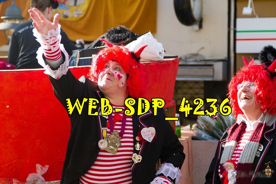 WEB SDP 4236
