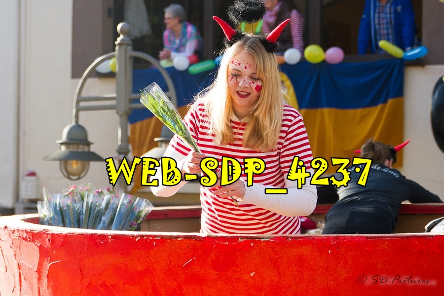 WEB SDP 4237