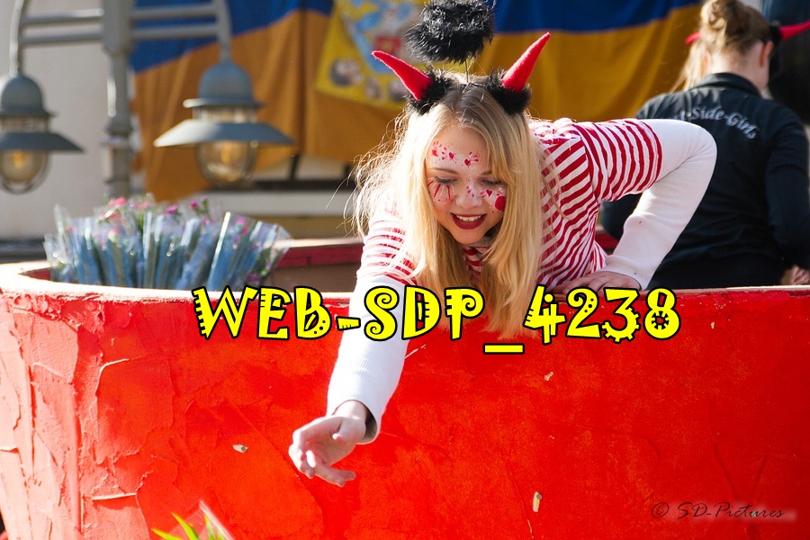 WEB SDP 4238