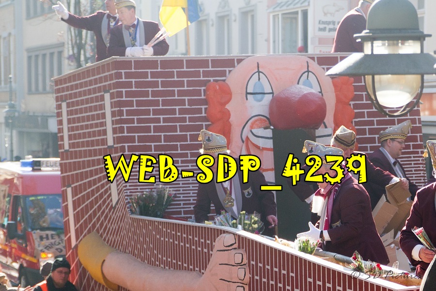WEB SDP 4239