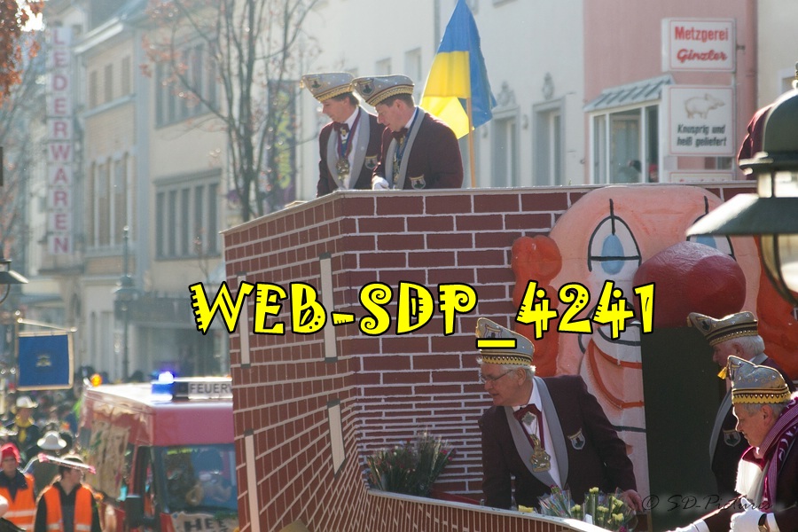 WEB SDP 4241