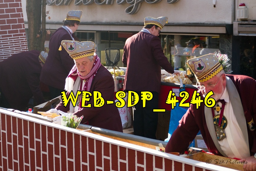 WEB SDP 4246