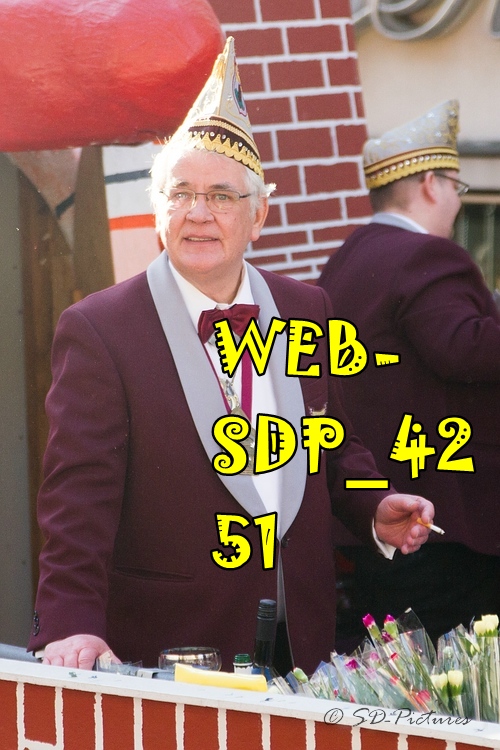 WEB SDP 4251