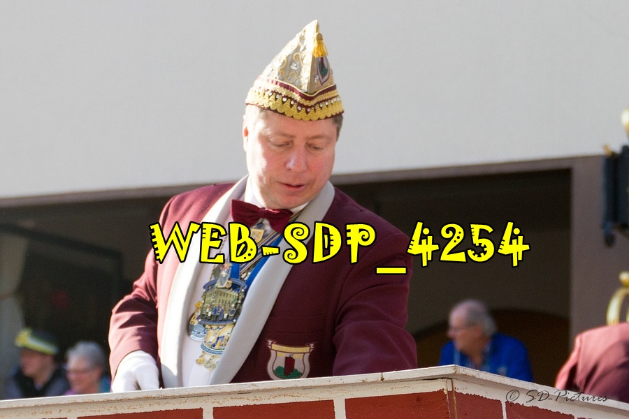 WEB SDP 4254