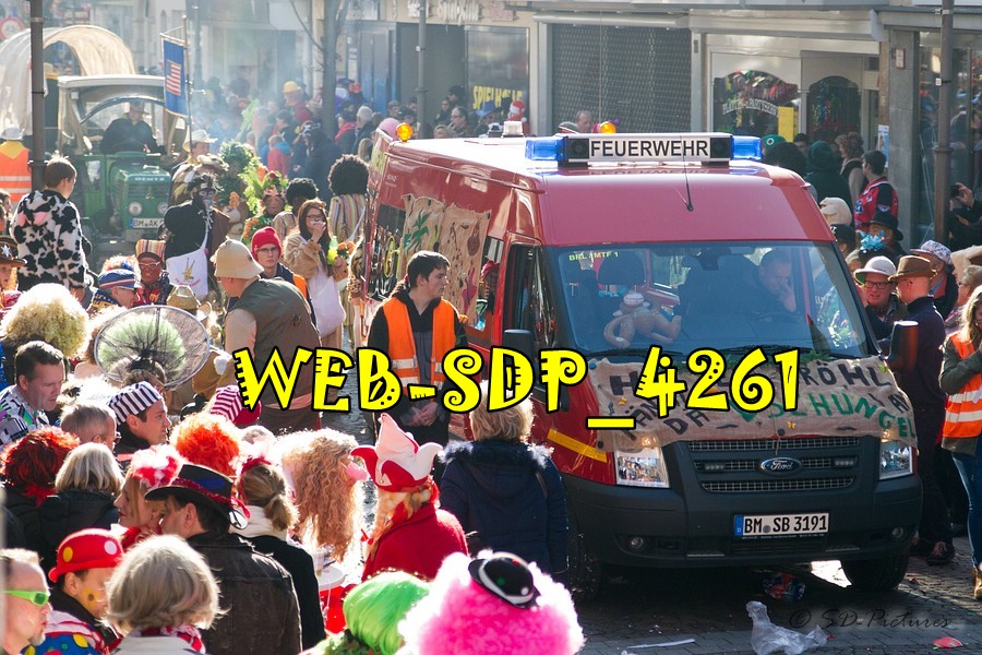 WEB SDP 4261