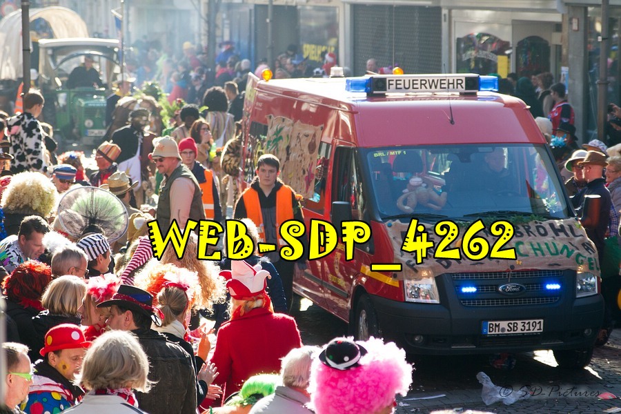 WEB SDP 4262