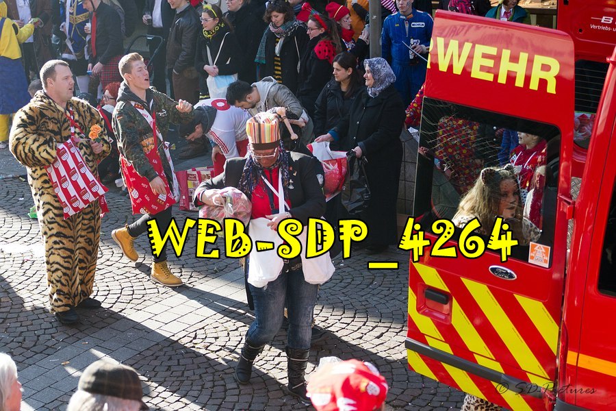WEB SDP 4264