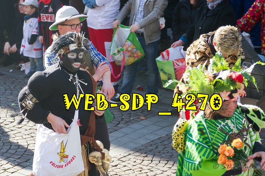 WEB SDP 4270