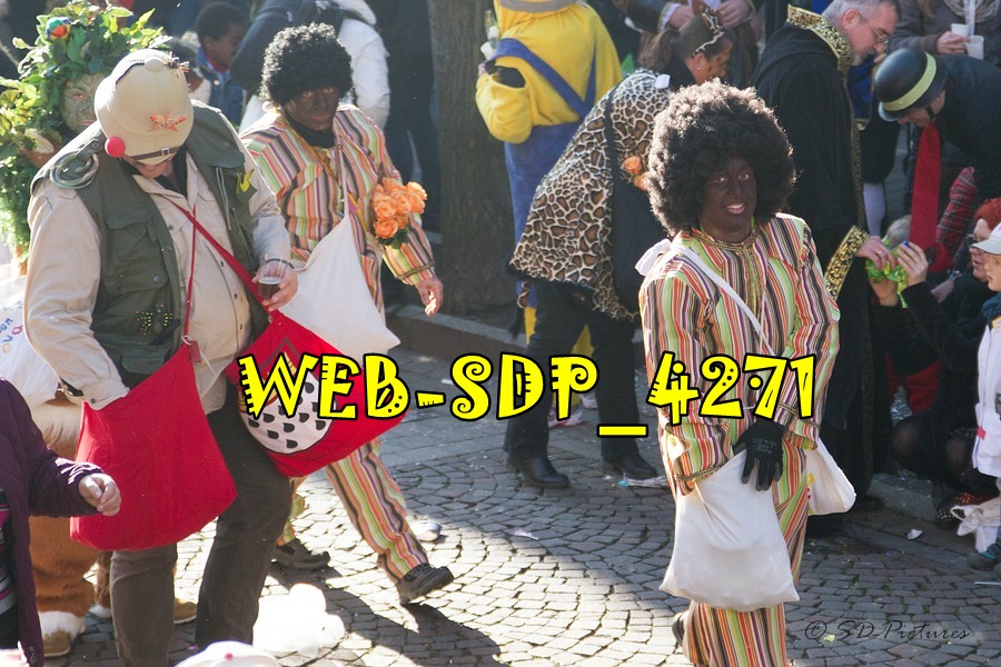 WEB SDP 4271