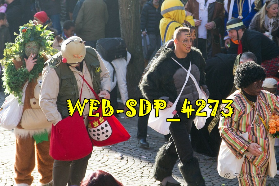 WEB SDP 4273