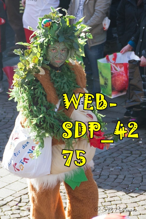 WEB SDP 4275