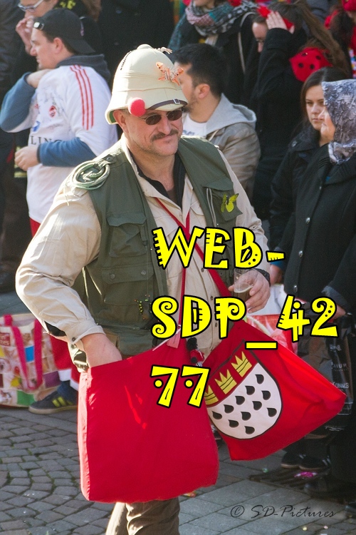WEB SDP 4277