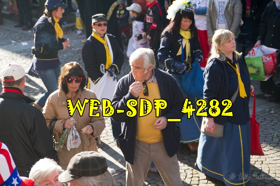 WEB SDP 4282