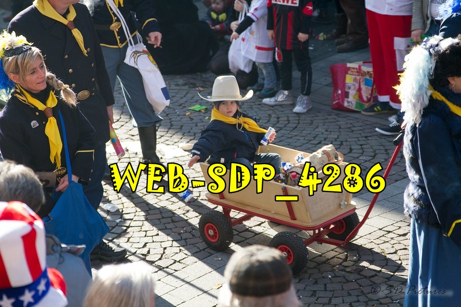 WEB SDP 4286