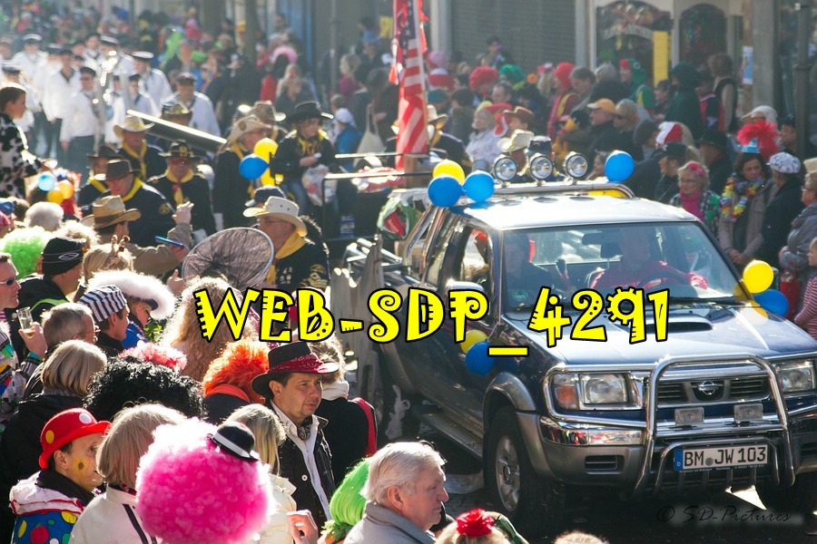 WEB SDP 4291