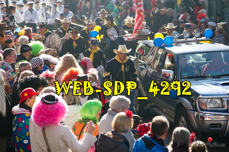 WEB SDP 4292