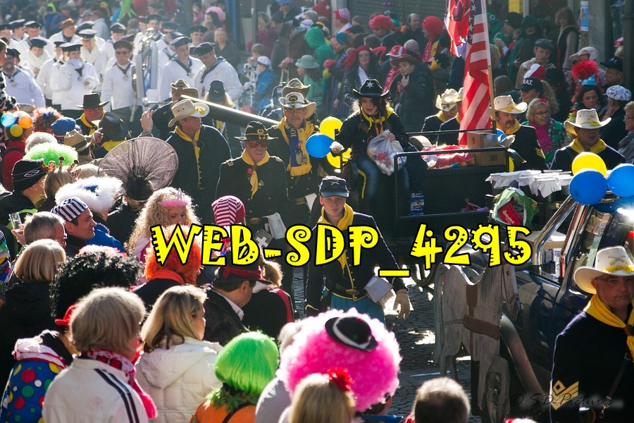 WEB SDP 4295