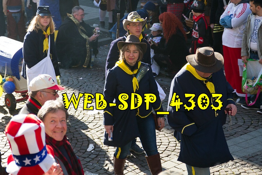 WEB SDP 4303