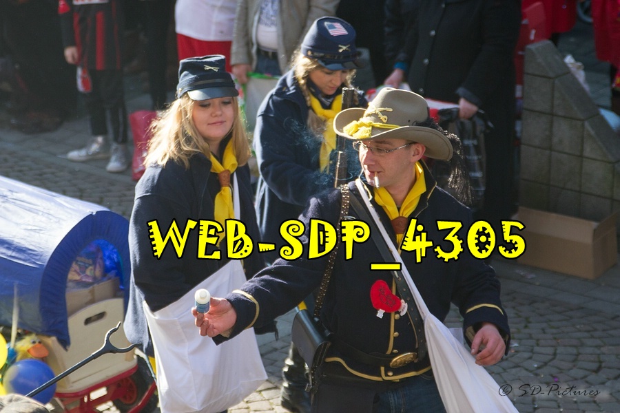 WEB SDP 4305