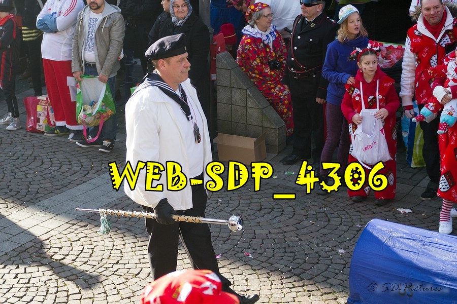 WEB SDP 4306