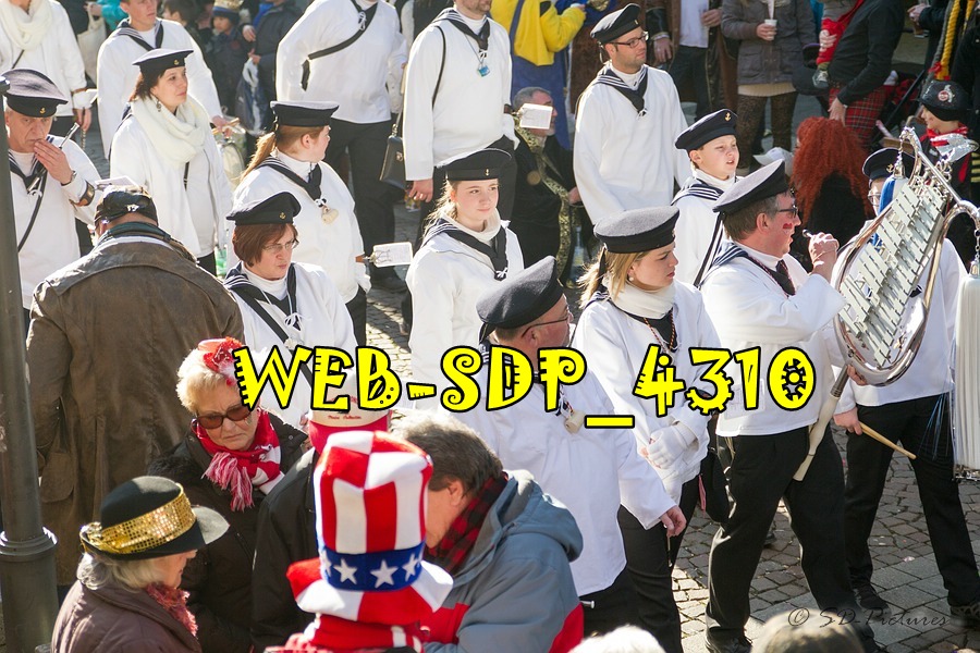 WEB SDP 4310