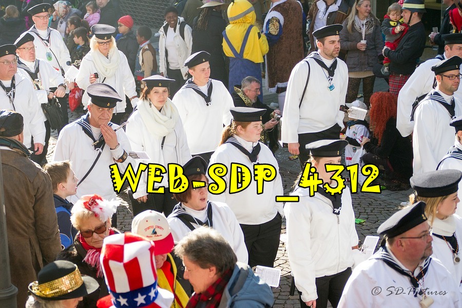 WEB SDP 4312