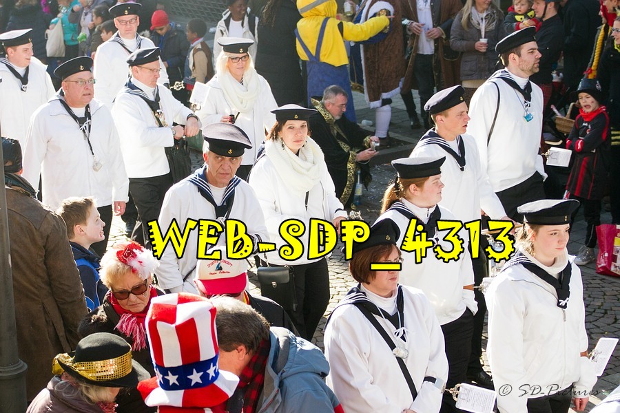 WEB SDP 4313