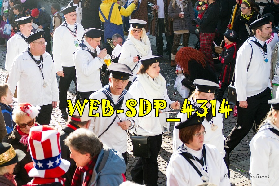 WEB SDP 4314