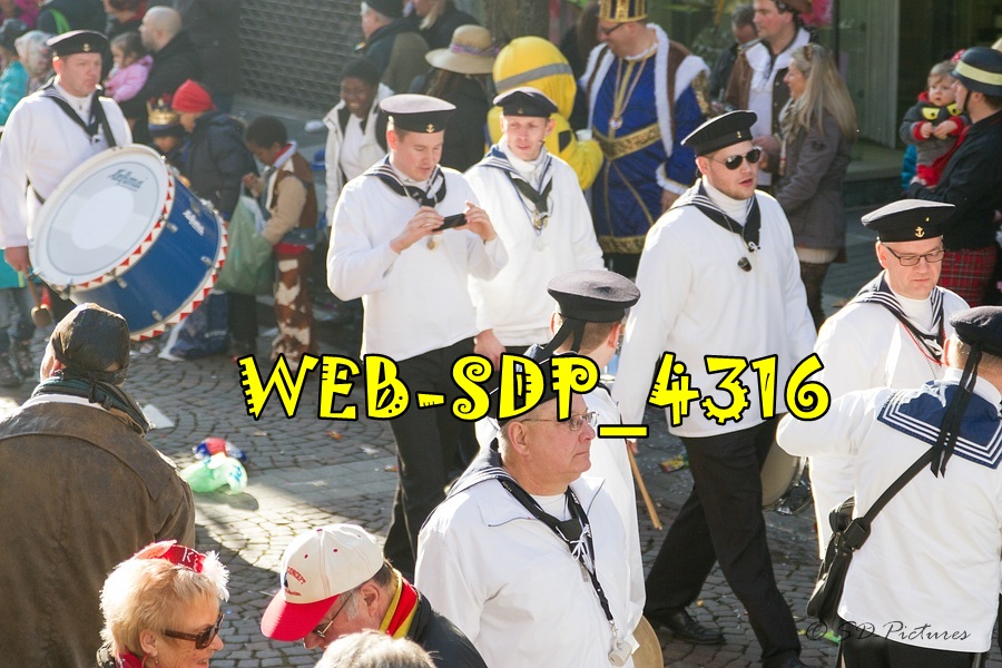 WEB SDP 4316