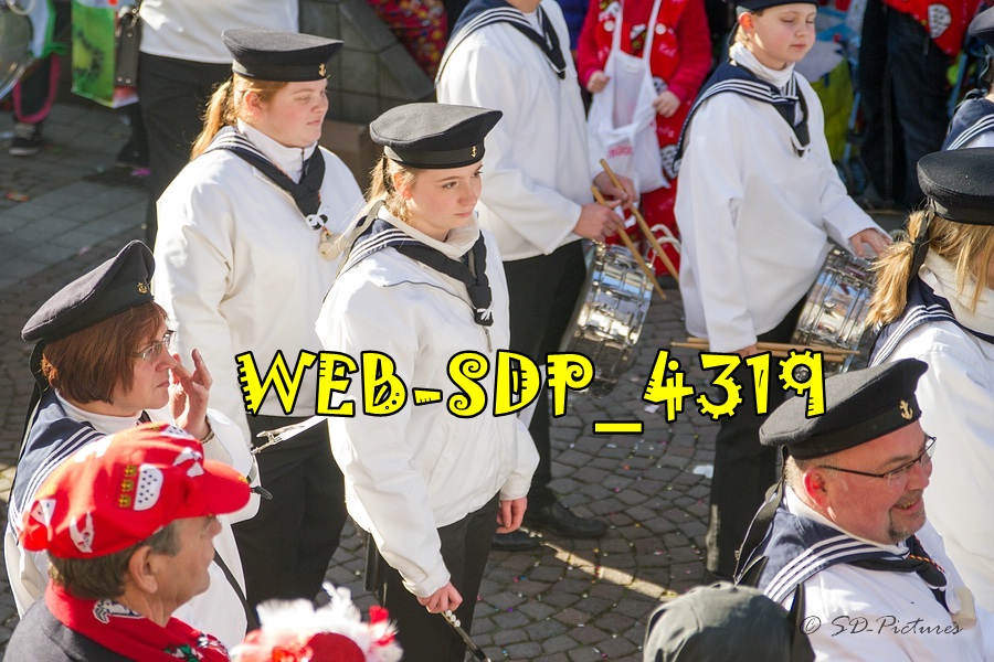 WEB SDP 4319