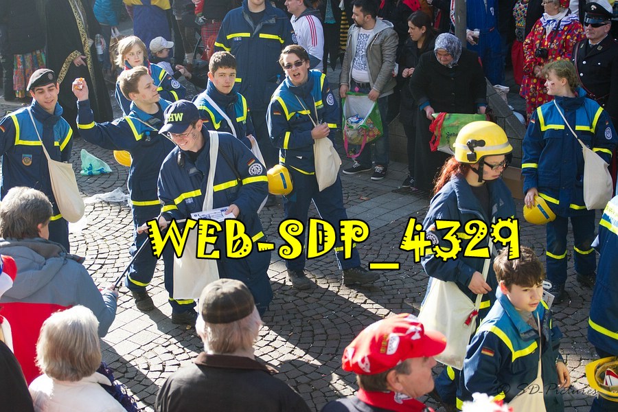 WEB SDP 4329