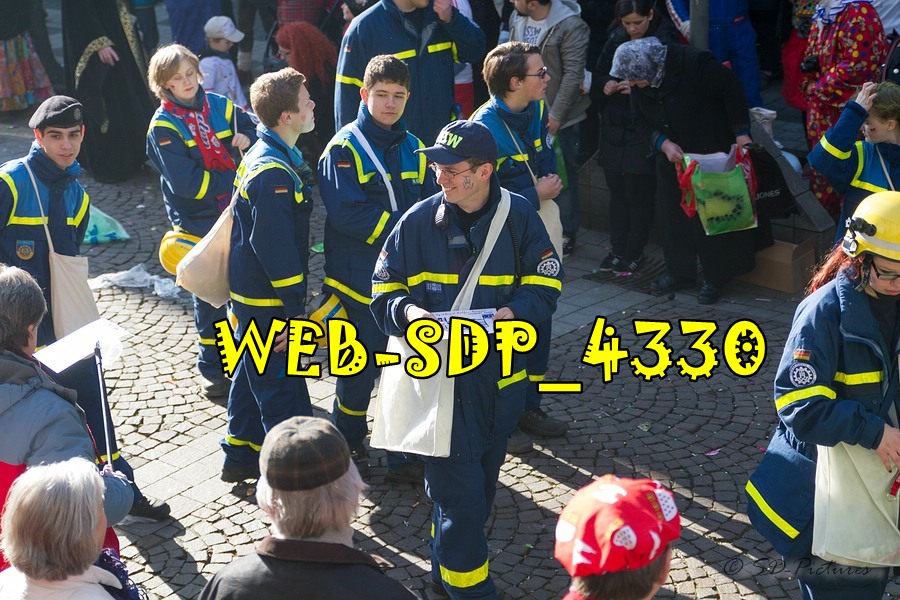 WEB SDP 4330