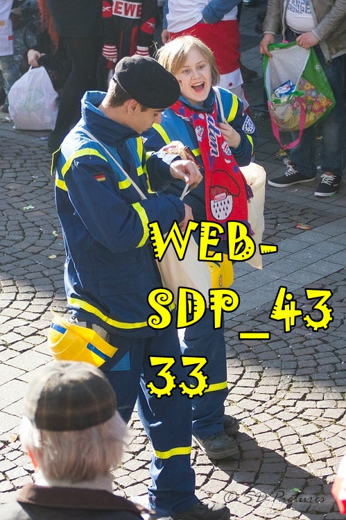 WEB SDP 4333