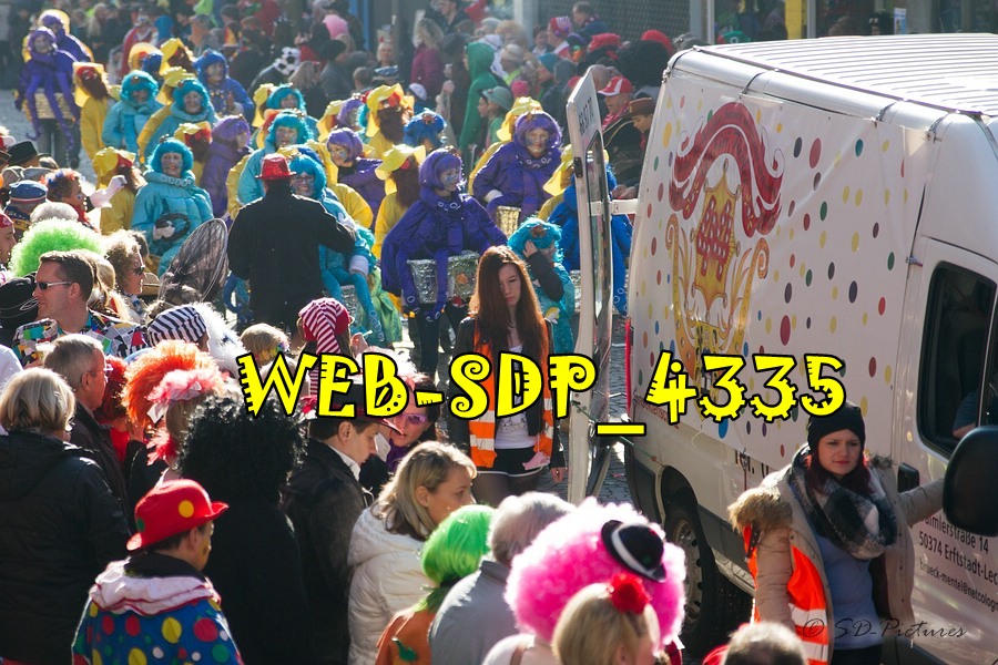 WEB SDP 4335