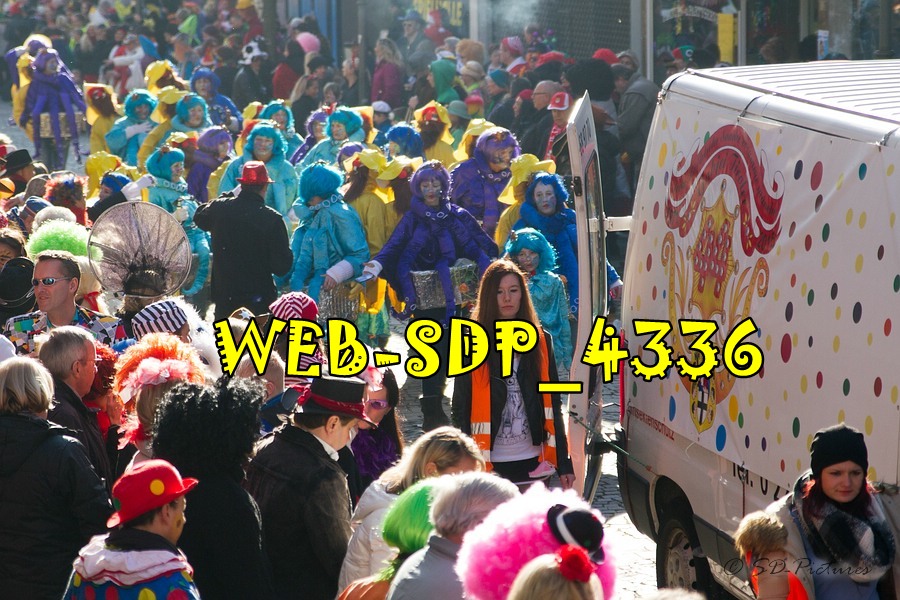 WEB SDP 4336