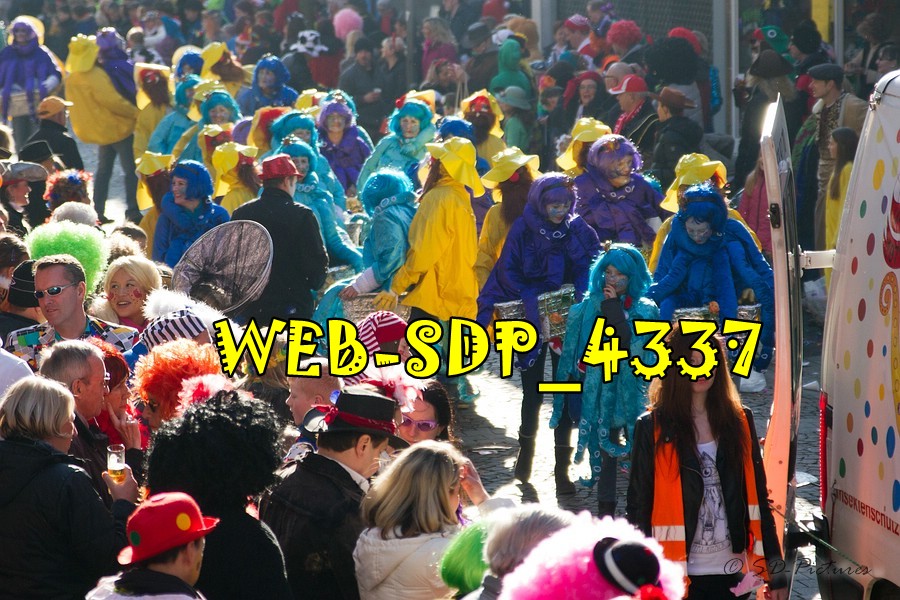 WEB SDP 4337