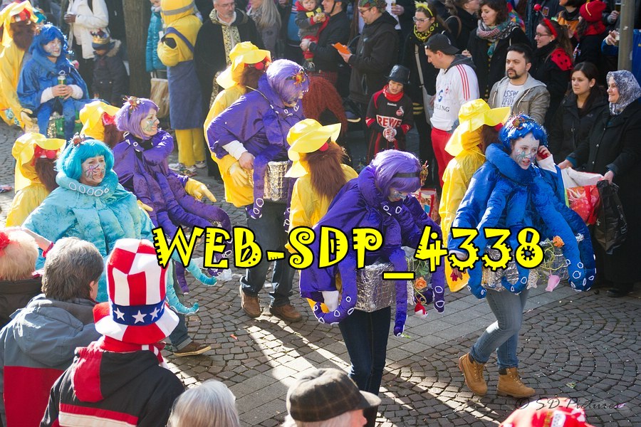 WEB SDP 4338