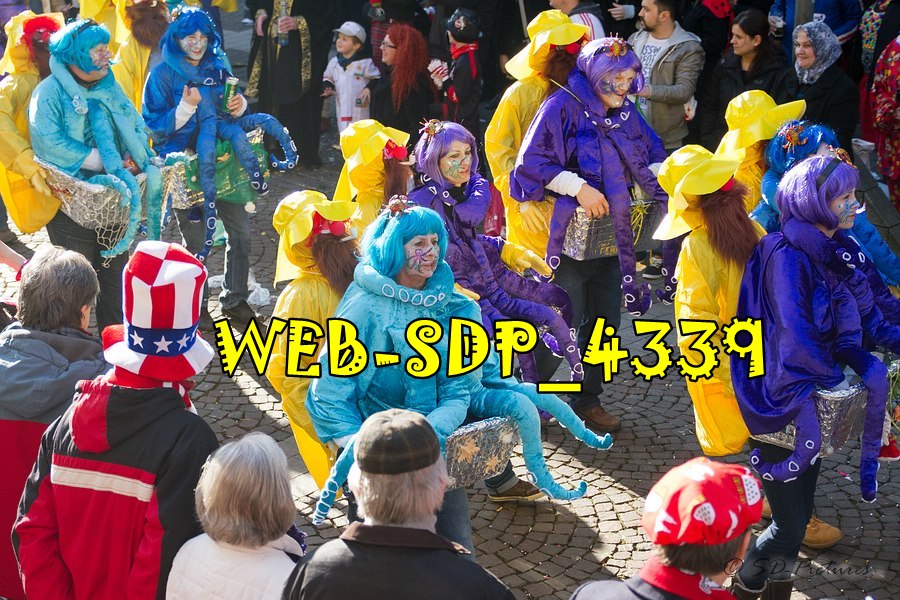 WEB SDP 4339