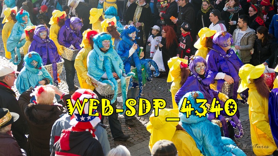 WEB SDP 4340